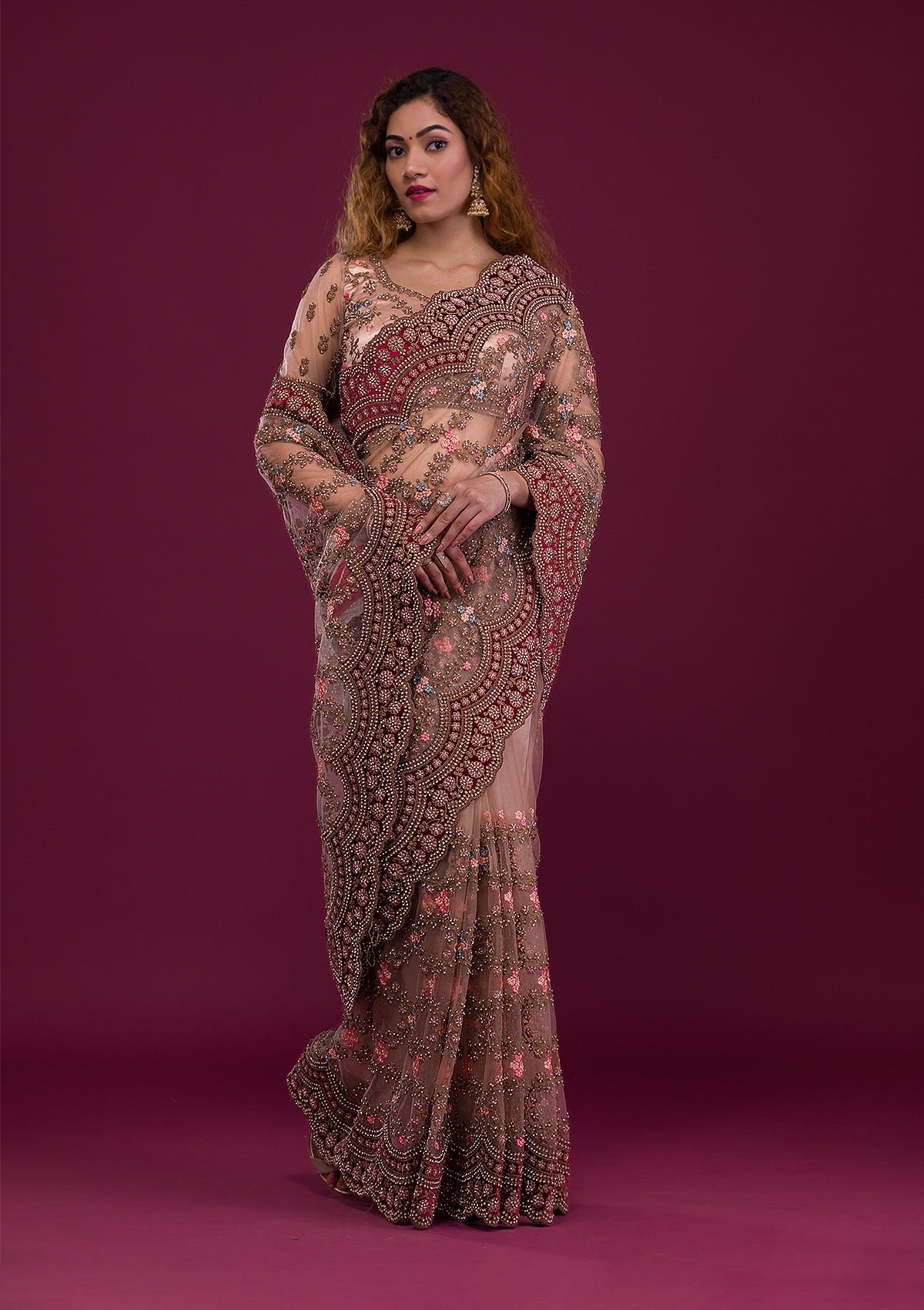 Elegant Light Brown Stonework Net Saree